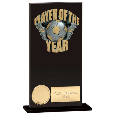 Euphoria Hero Player Of Year Glass Award Trophy