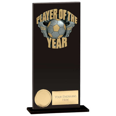 Euphoria Hero Player Of Year Glass Award Trophy