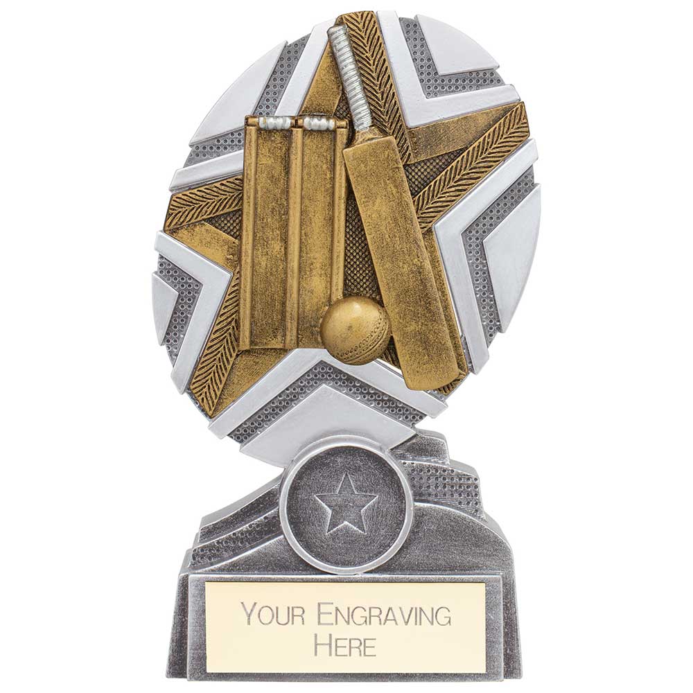 The Stars Cricket Plaque Award Trophy