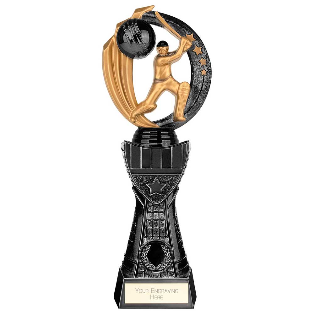 Renegade Heavyweight Cricket Award In Black