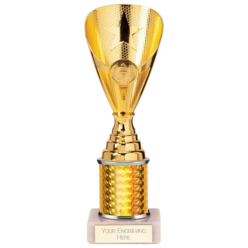 Rising Stars Plastic Trophy Gold