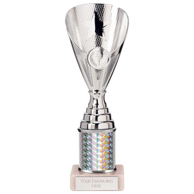 Rising Stars Plastic Trophy Silver