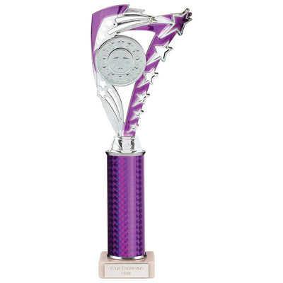 Frenzy Multisport Tube Trophy Silver Purple